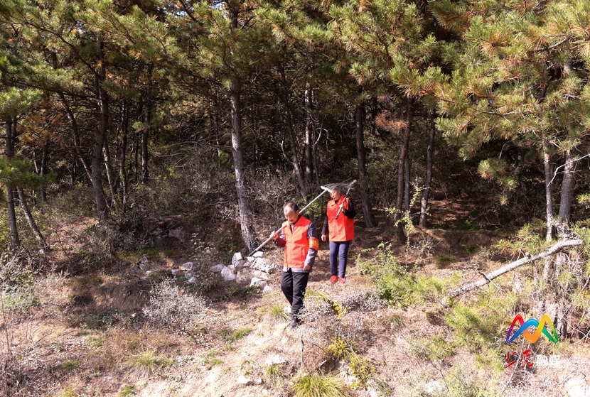 1572591545658040059.jpg DSC_0241111.jpg