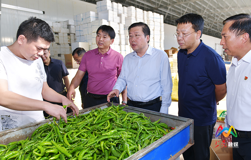 1631198066700015363.jpg 图为张驰一行在韩店街道东呈村经济合作社调研3.jpg